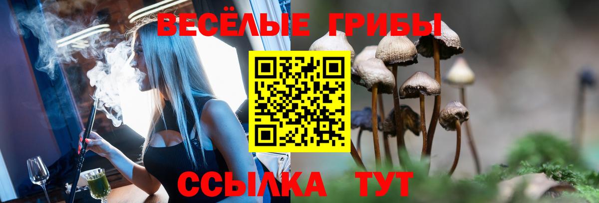 Псилоцибиновые грибы MAGIC MUSHROOMS Чехов